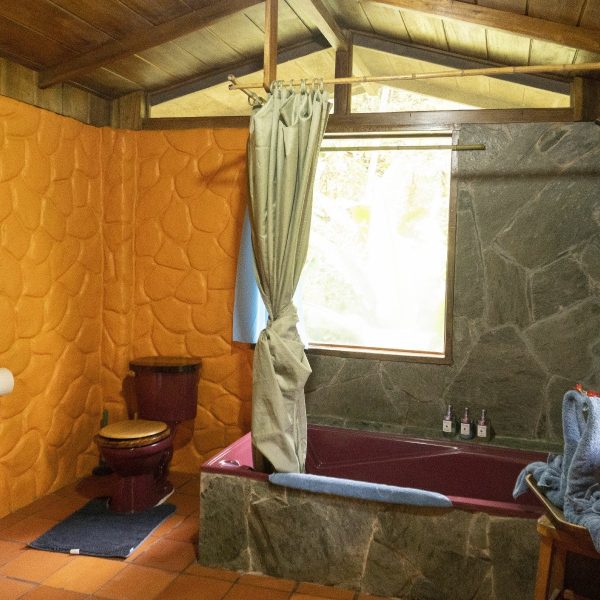 Baño cuarto grande departamento 1 [Ancho Máximo 2400 Altura Máxima 1800]-min