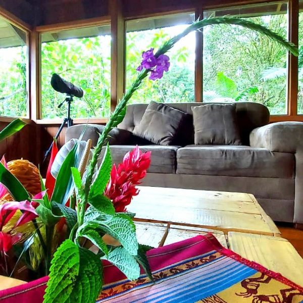 Detalle sala departamento 1 [Ancho Máximo 2400 Altura Máxima 1800]-min