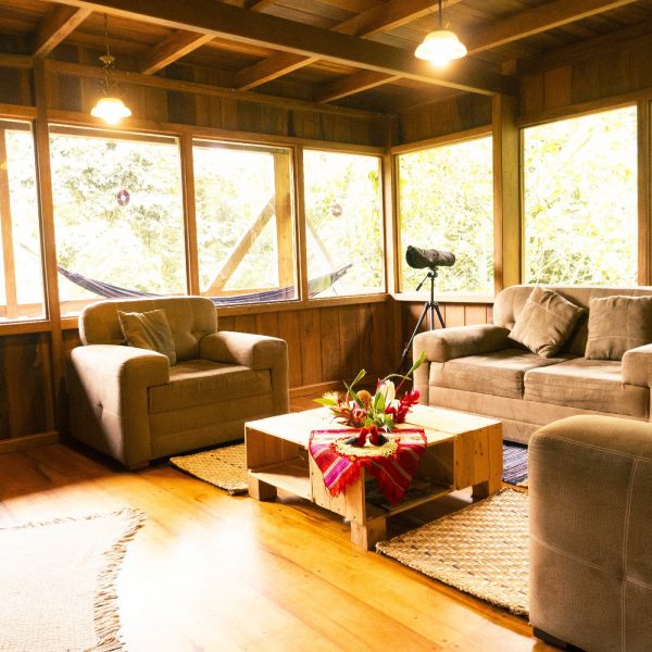 Sala departamento 1 [Ancho Máximo 2400 Altura Máxima 1800]-min